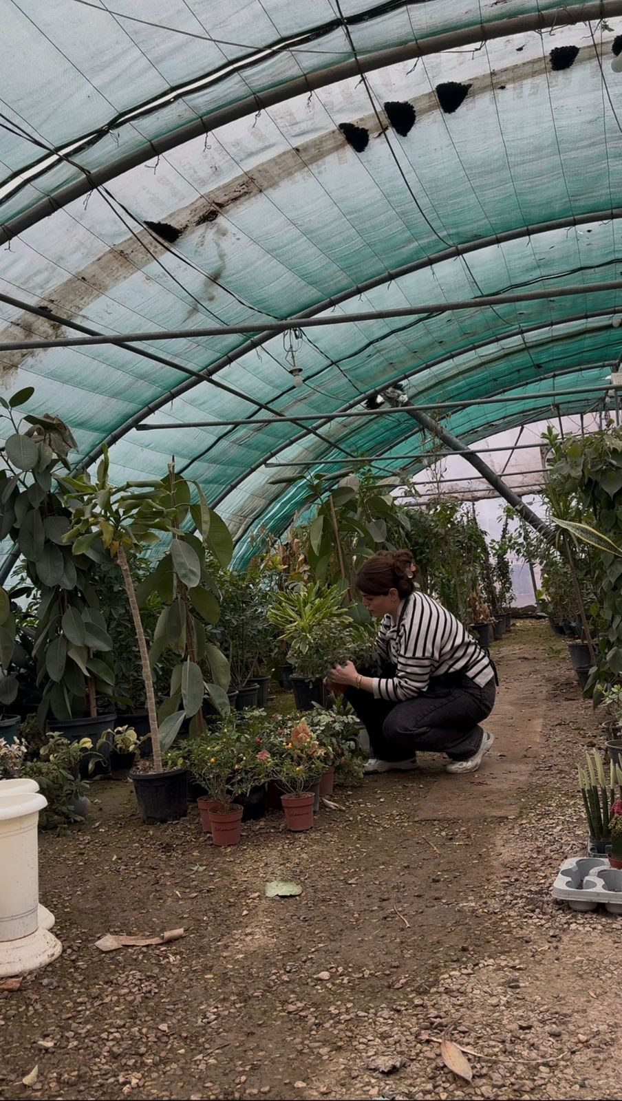 Bakhihanar Gallery Image